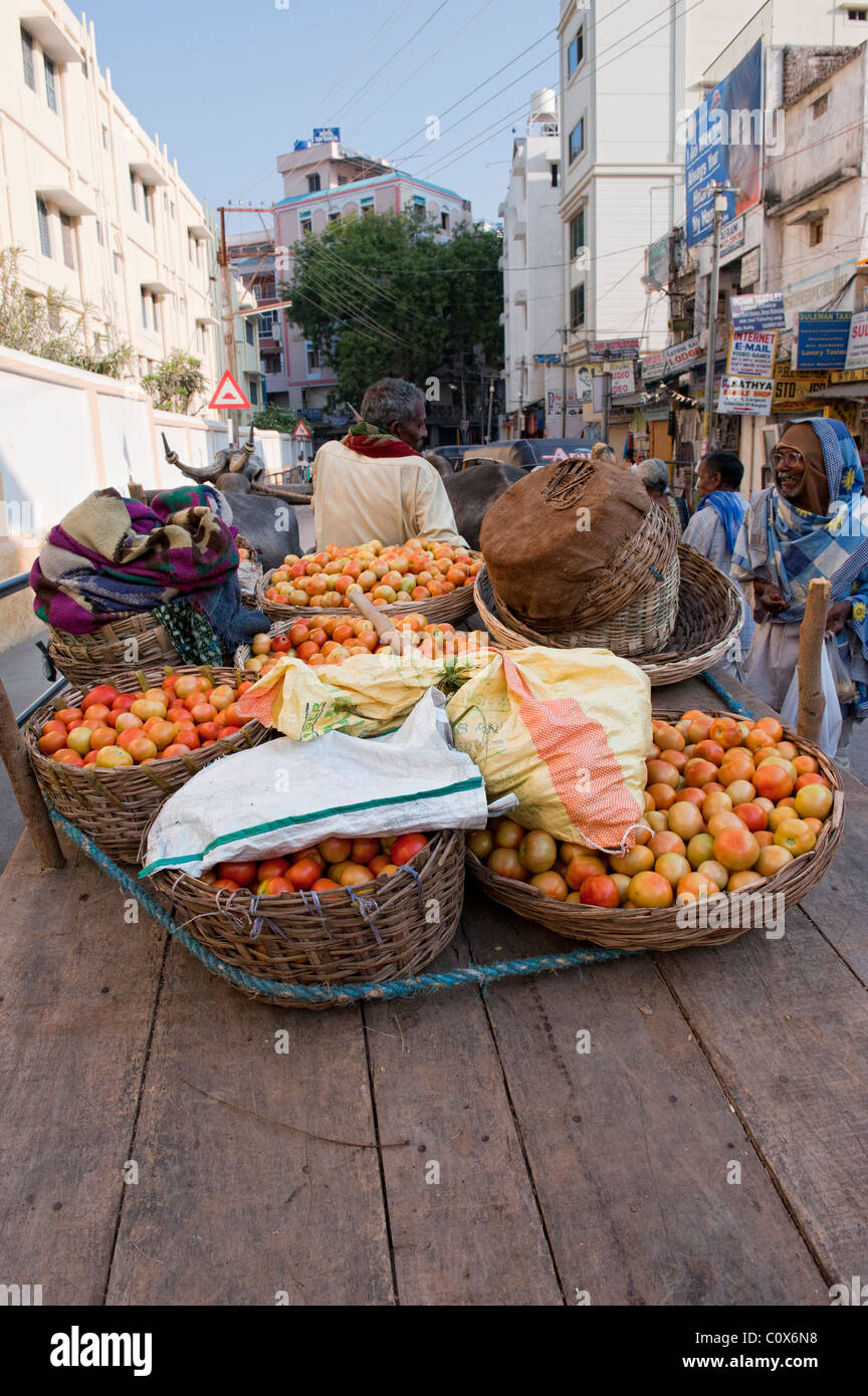 L'agricoltore indiano il trasporto di pomodori in un carrello di giovenco per le strade di Puttaparthi, Andhra Pradesh, India Foto Stock