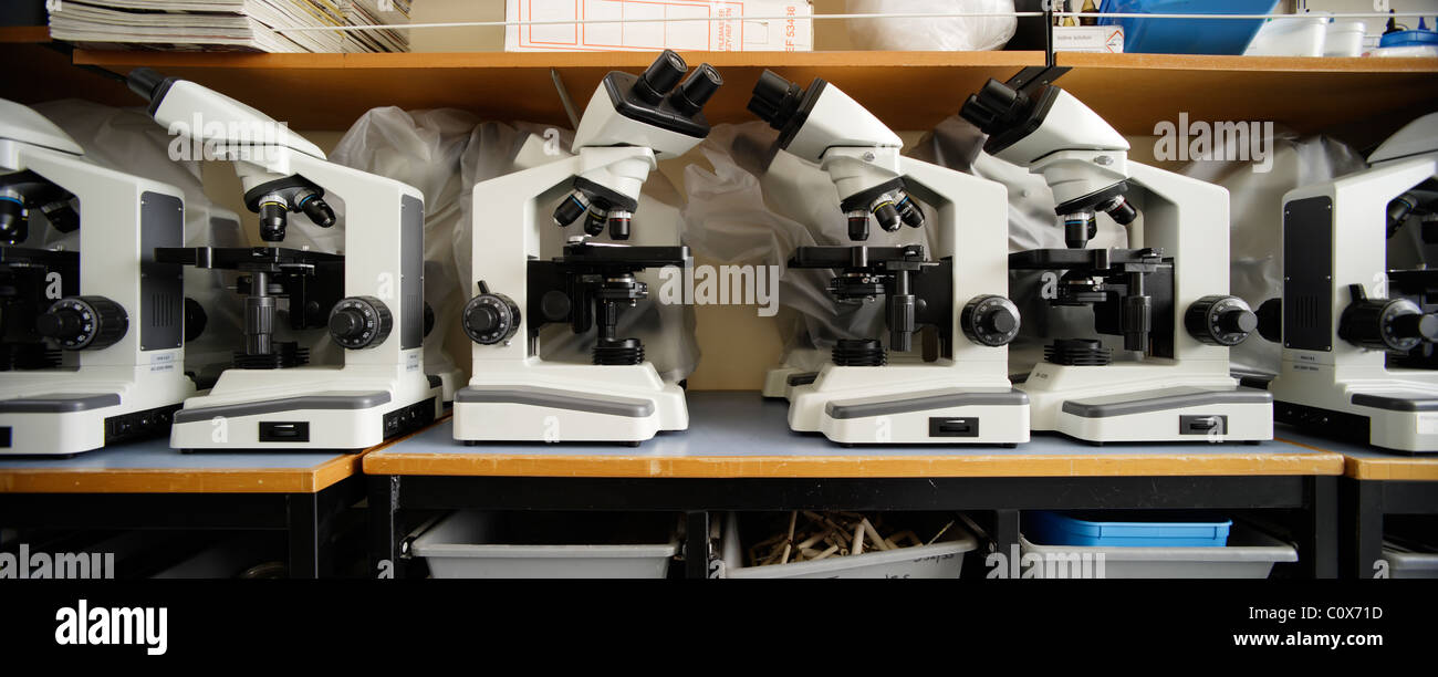 Panorama grande fila di microscopi di scuola Foto Stock