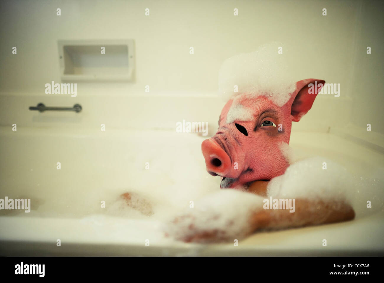 Maiale prende bubble bath. Foto Stock