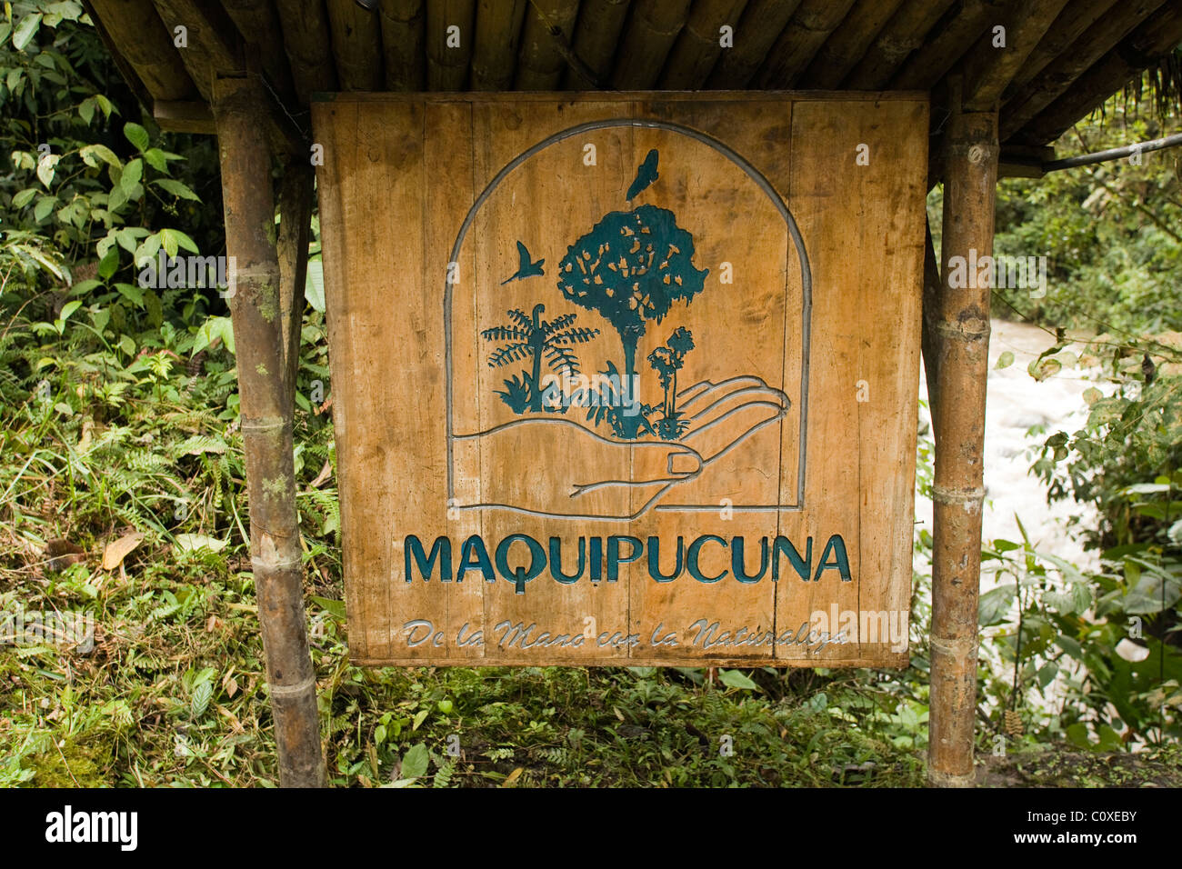 Segno a Maquipucuna Riserva - vicino a Nanegalito, Ecuador Foto Stock