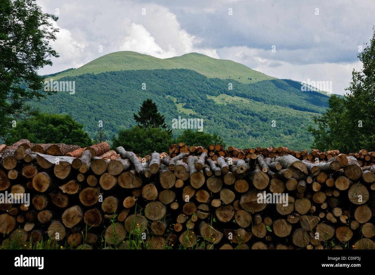Beautifool montagne verdi in polacco di Bieszczady Foto Stock