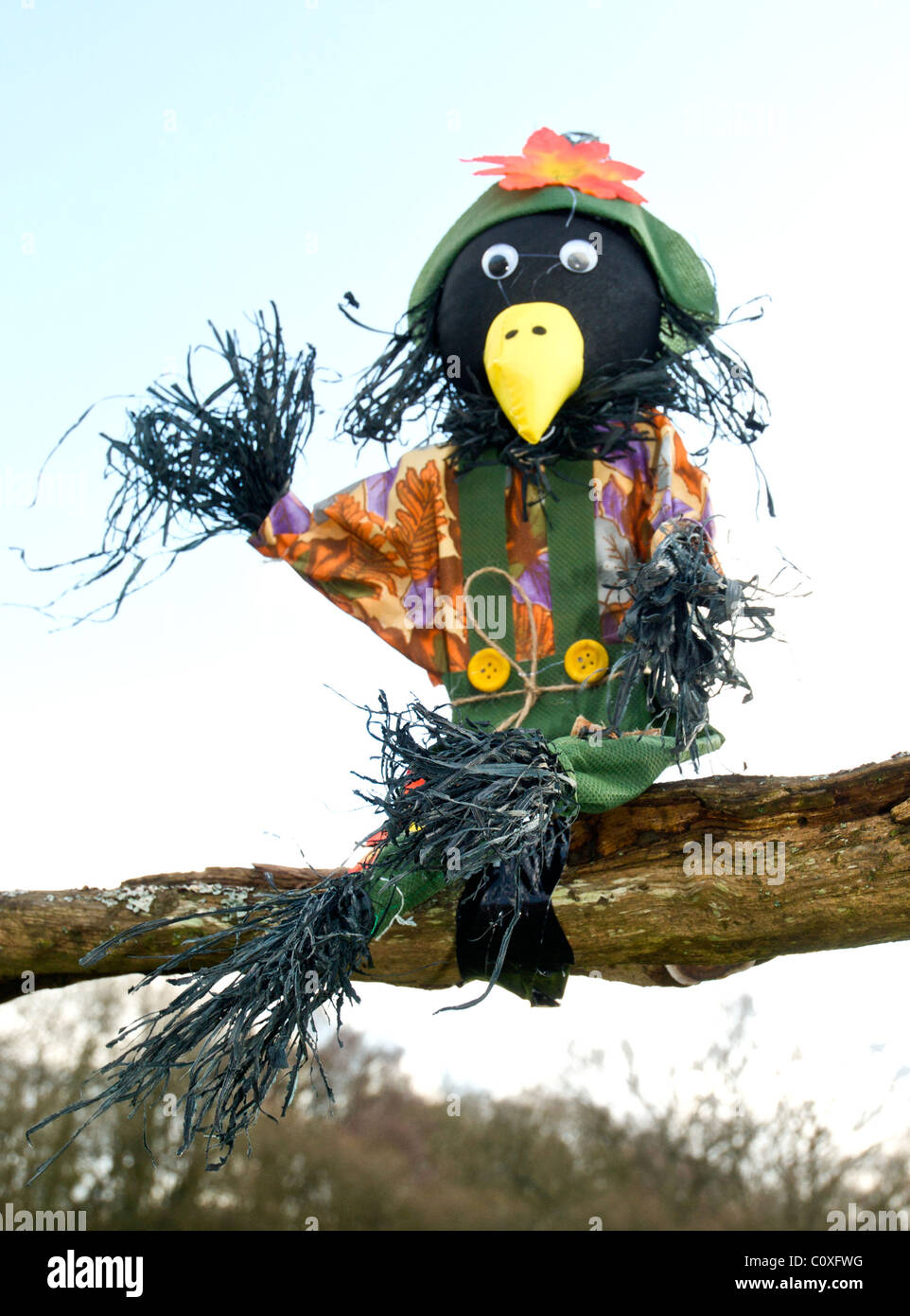 Lo Spaventapasseri spaventare crow mantiene gli uccelli off colture da giardino Foto Stock