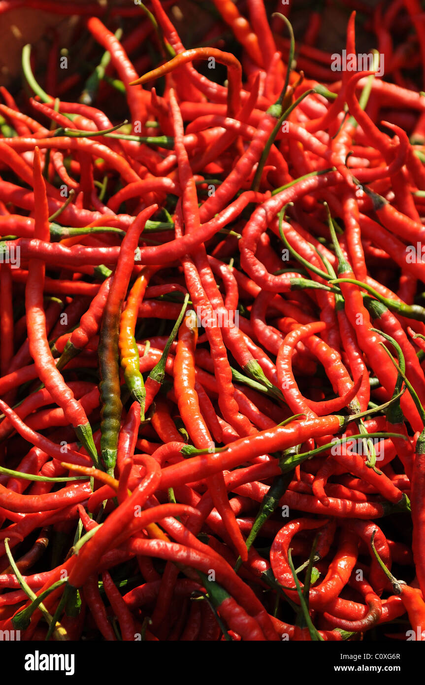 Peperoncini rossi presi in una strada del mercato di Manado, Sulawesi, Indonesia Foto Stock