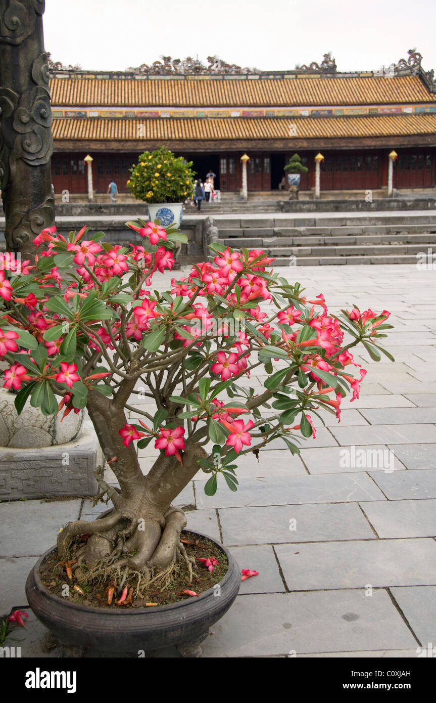 Asia, Vietnam, Da Nang. Antica capitale imperiale di Hue. Xvii secolo (Nguyen Dynasty) Royal la cittadella di Hue. Foto Stock
