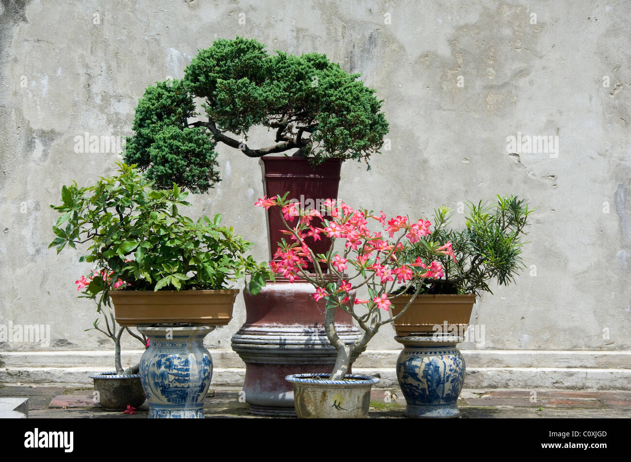 Asia, Vietnam, Da Nang. Antica capitale imperiale di Hue. Xvii secolo (Nguyen Dynasty) Royal la cittadella di Hue. Foto Stock