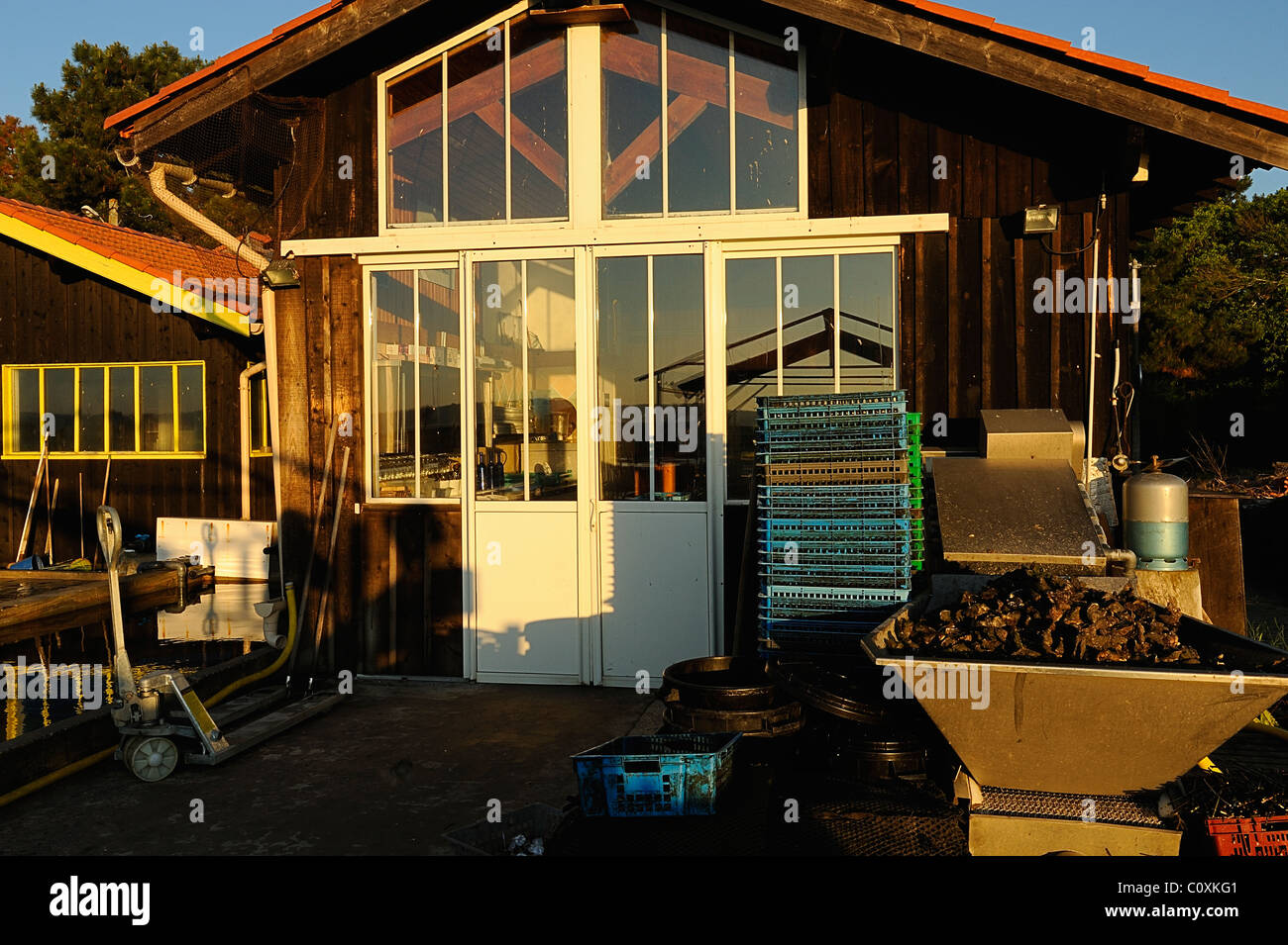Oyster casa del contadino nel villaggio Mimbeau, Cap Ferret, Dipartimento della Gironde, Francia Foto Stock