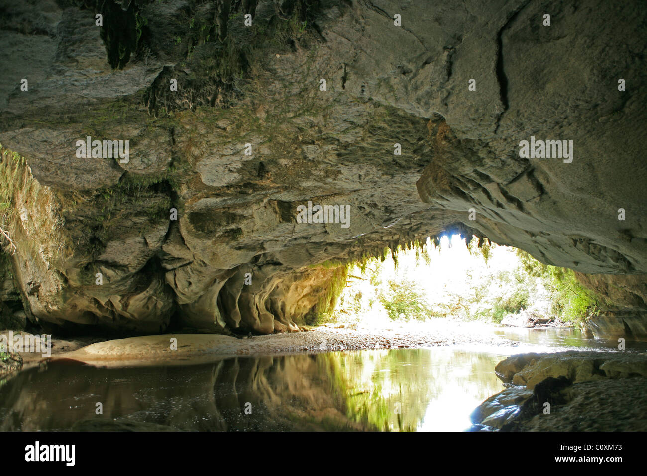 Vicino al cancello di Moria grotta e arch, Oparara Nuova Zelanda Foto Stock