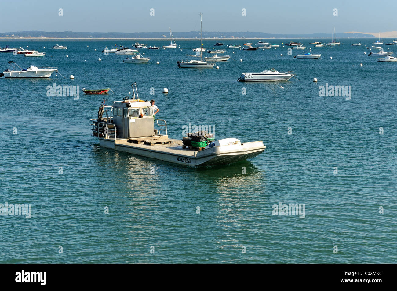 Oyster intervieni nella baia di Arcachon, le Cap Ferret, Dipartimento della Gironde, Francia Foto Stock