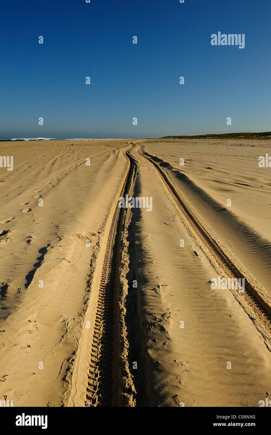 Auto tracce su una spiaggia di sabbia di Oceano Atlantico, le Cap Ferret, Gironde, a sud ovest della Francia Foto Stock
