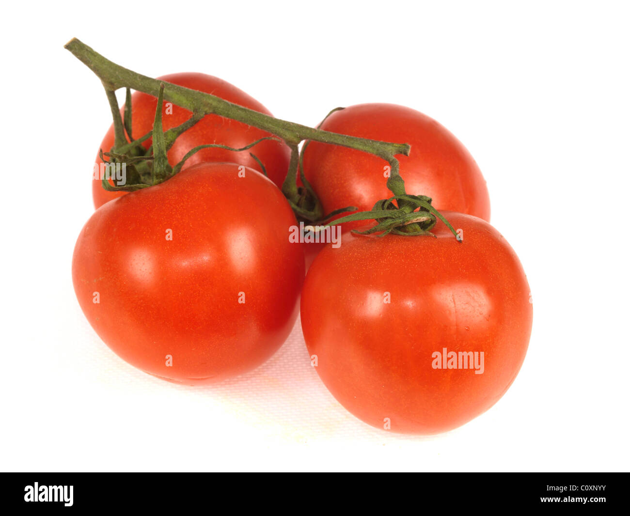 Produzione biologica pronto a mangiare sano mature succosi pomodori a grappolo con nessun popolo contro uno sfondo bianco con un tracciato di ritaglio Foto Stock