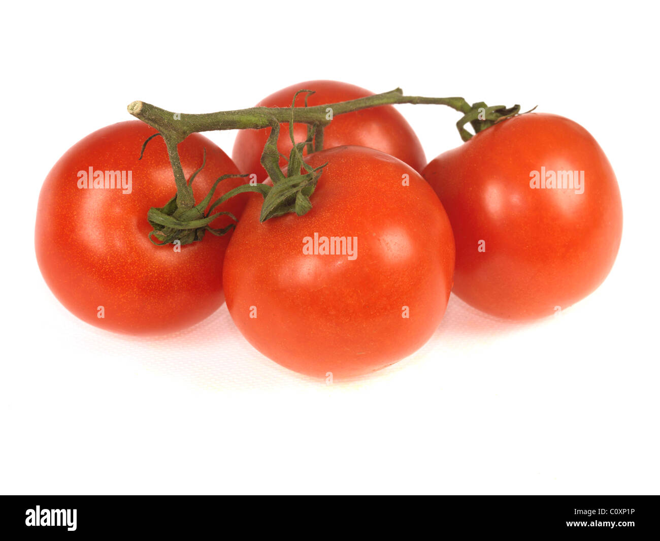 Produzione biologica pronto a mangiare sano mature succosi pomodori a grappolo con nessun popolo contro uno sfondo bianco con un tracciato di ritaglio Foto Stock