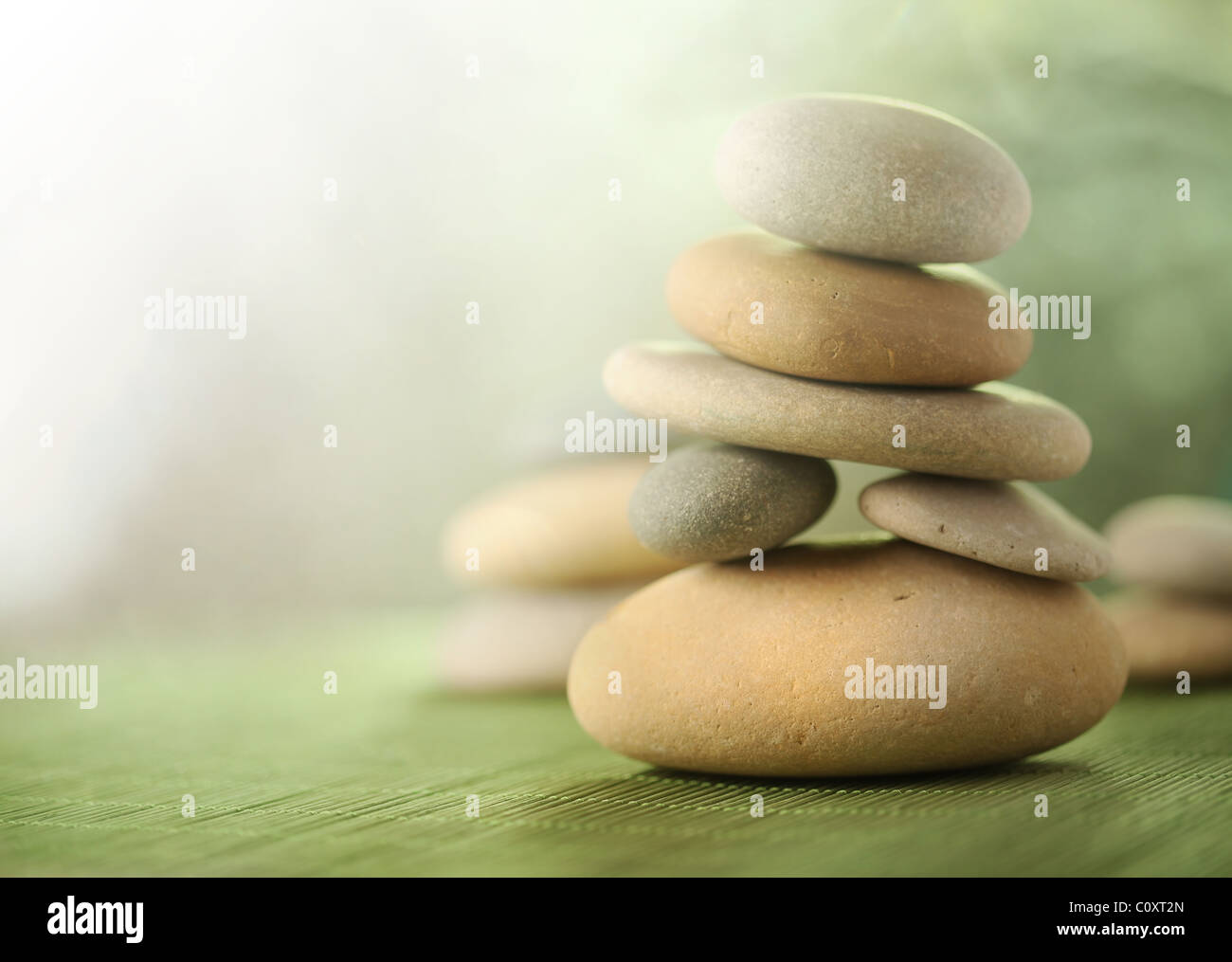 Giardino di roccia Foto Stock