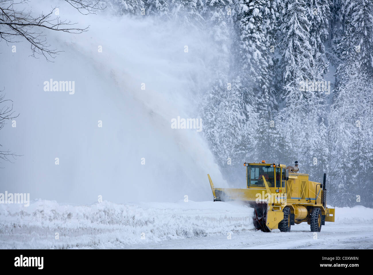 Una autostrada crewman esegue uno sgombraneve a fresa lungo la catena-up area sul lato ovest di Lookout Pass su I90, ID. Foto Stock