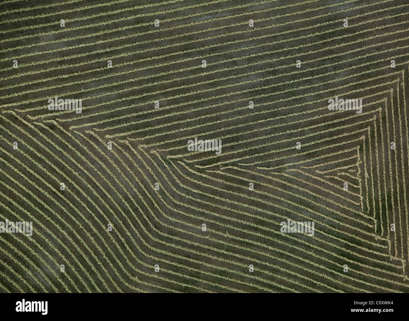 Vista aerea sopra il fieno raccolto nella California del nord Foto Stock