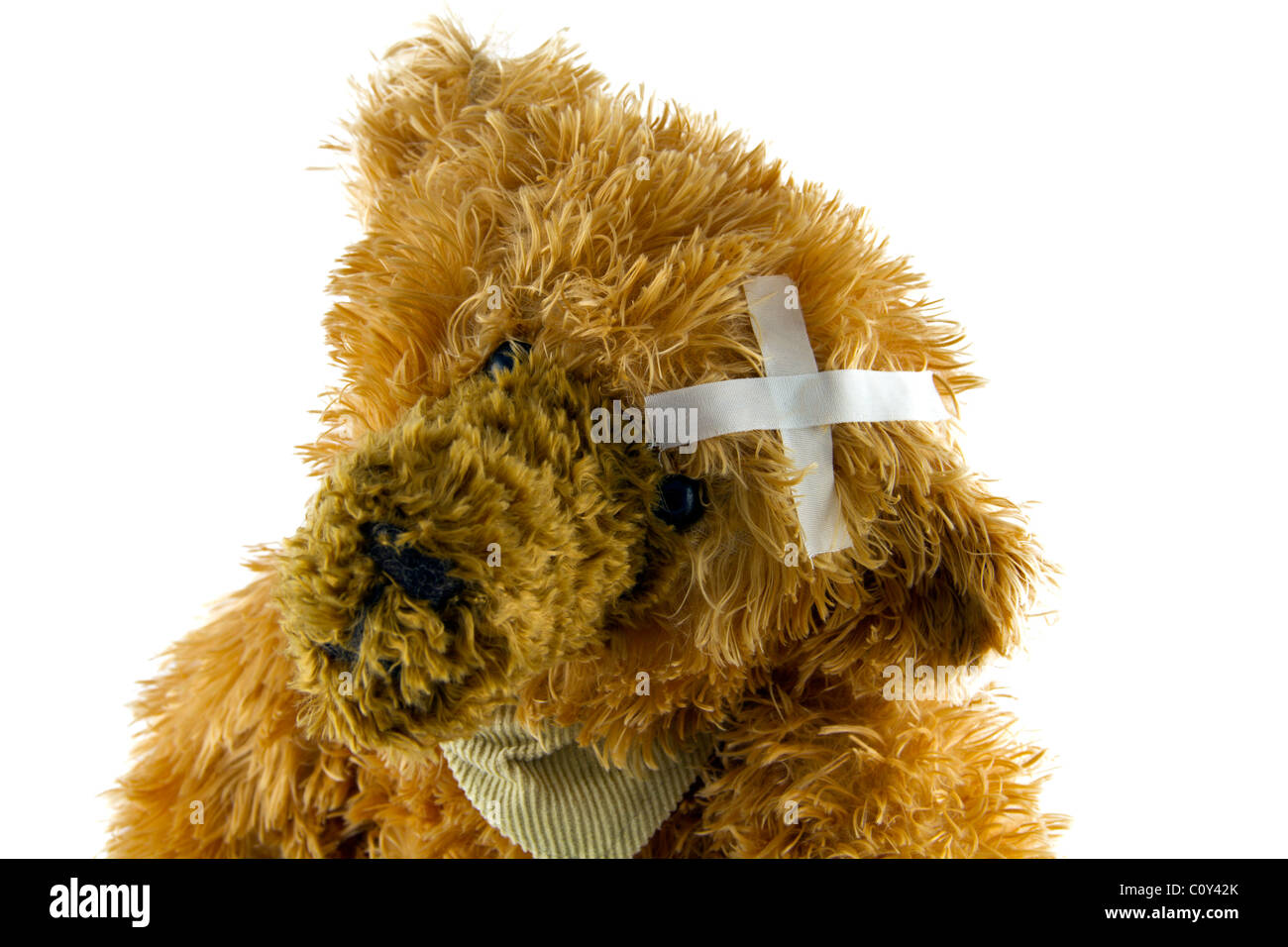 Teddy con patch Foto Stock