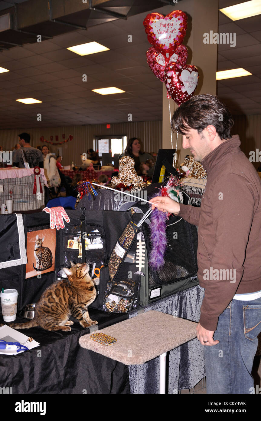 Cat show, Waco, Texas, Stati Uniti d'America Foto Stock