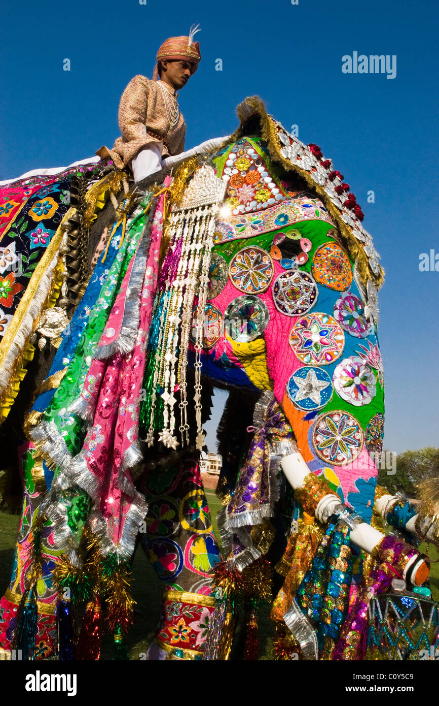 Uomo a cavallo di un elefante decorato in occasione dell'annuale Festival di elefante a Jaipur Foto Stock