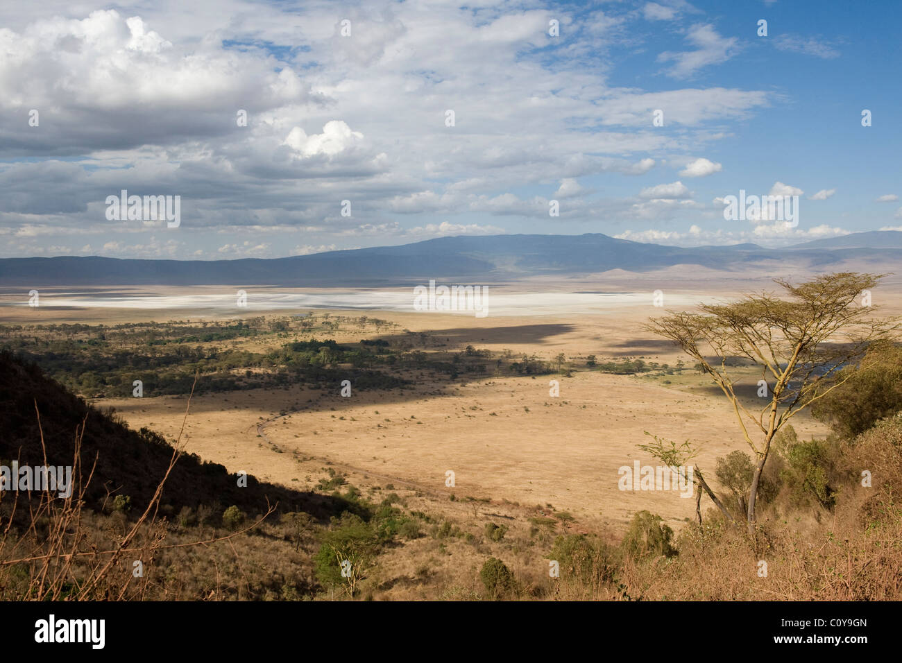In vista del cratere di Ngorongoro dalla salita Road Tanzania Foto Stock