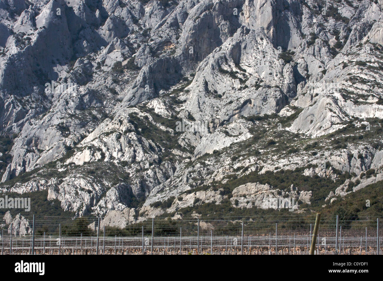 Vigneti ai piedi della montagna di Sainte-Victoire, vicino a Aix-en-Provence, Francia Foto Stock