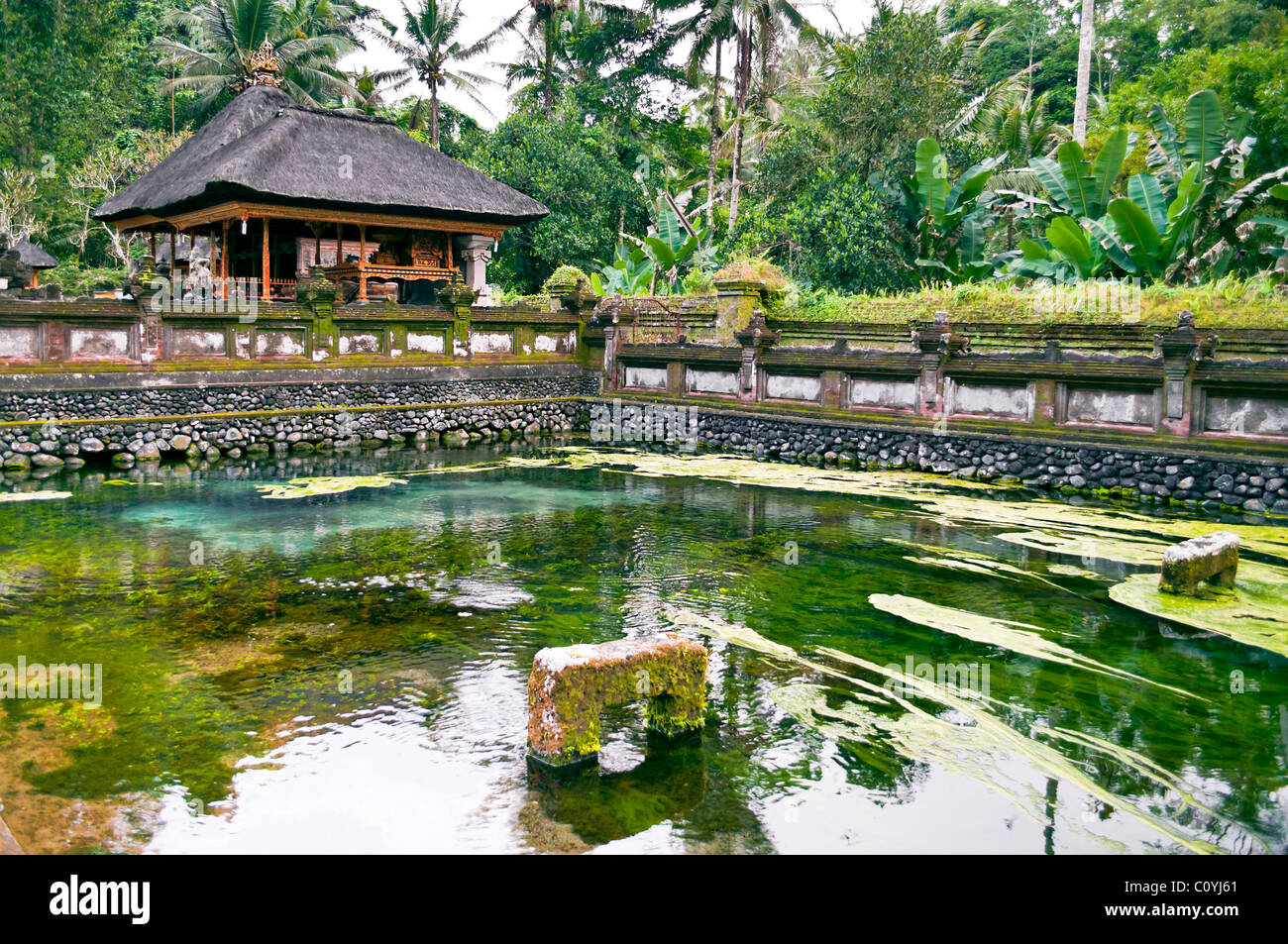 Laghetto Verde in Ubud sito del tempio a Bali Indonesia Foto Stock