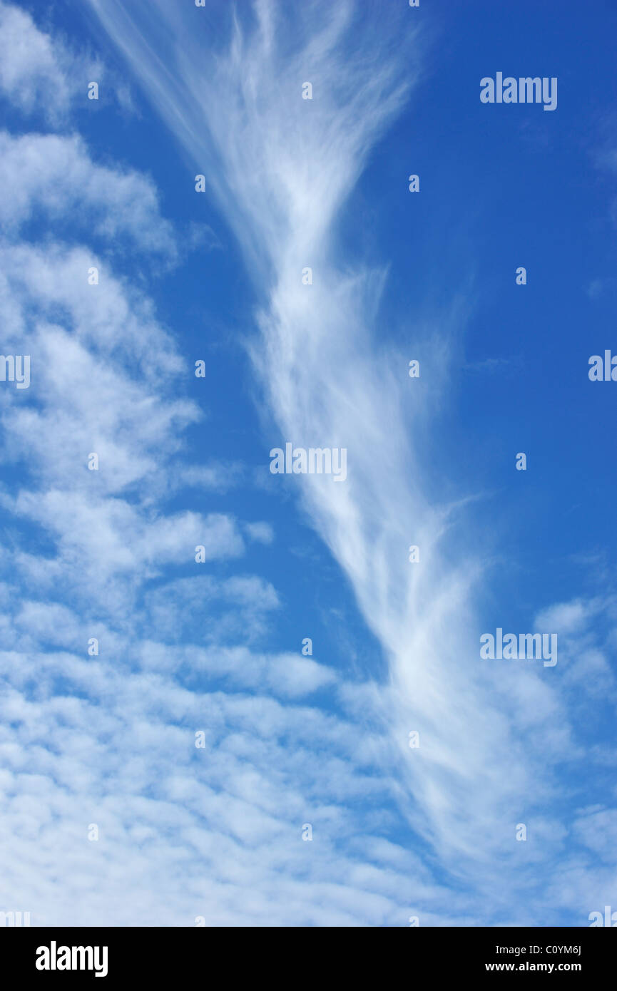 Altocumulus undulatus nuvole, Brittany, Francia Foto Stock