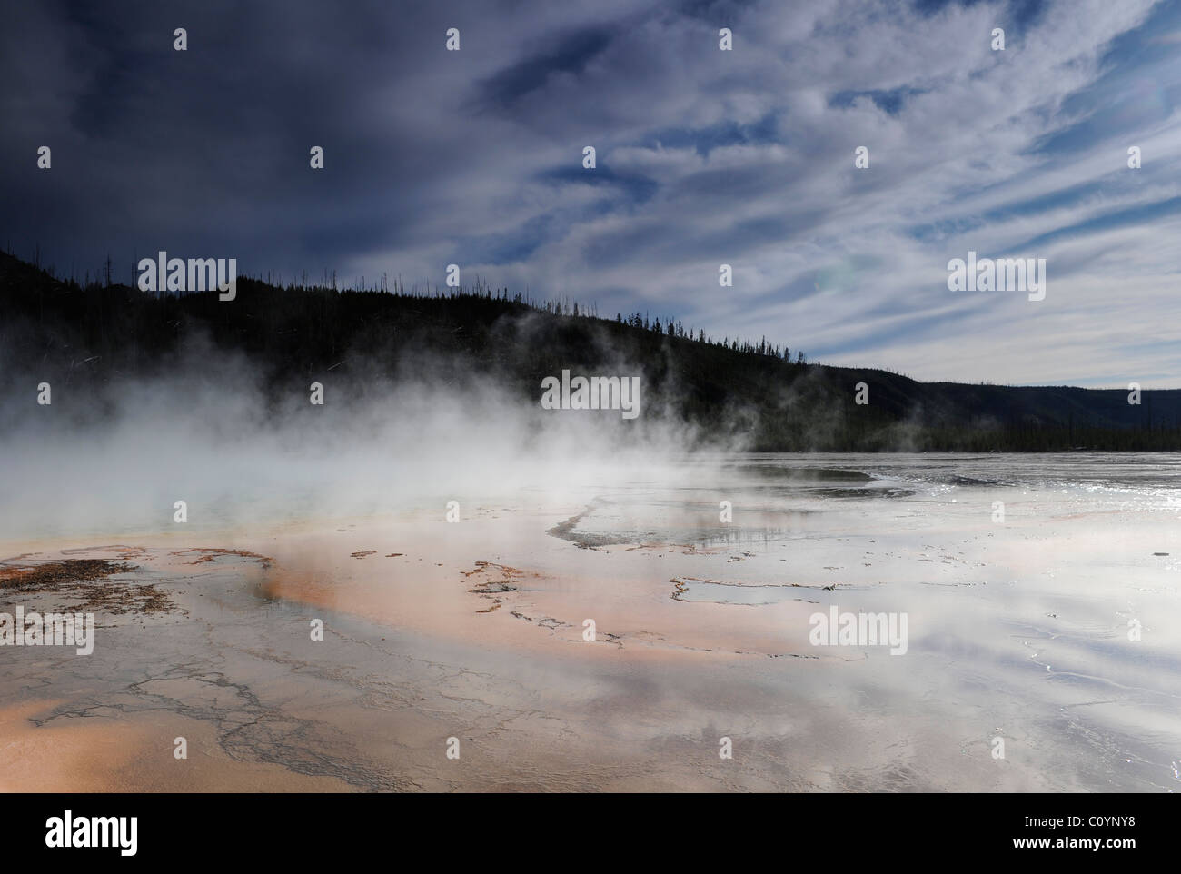Vista da una passerella su uno di Yellowstone's piscine termali con vapore in aumento in imbuti termico dalla superficie dell'acqua. Foto Stock