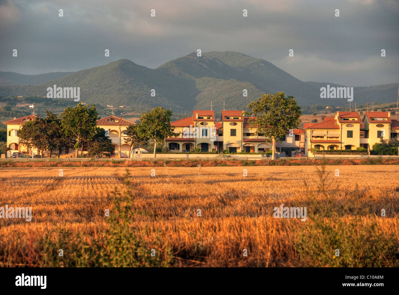 Campagna toscana colori in estate Foto Stock