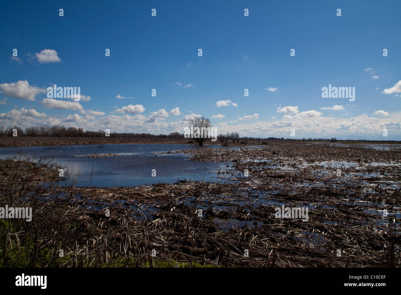 Una centrale di California Wildlife Refuge weland Foto Stock