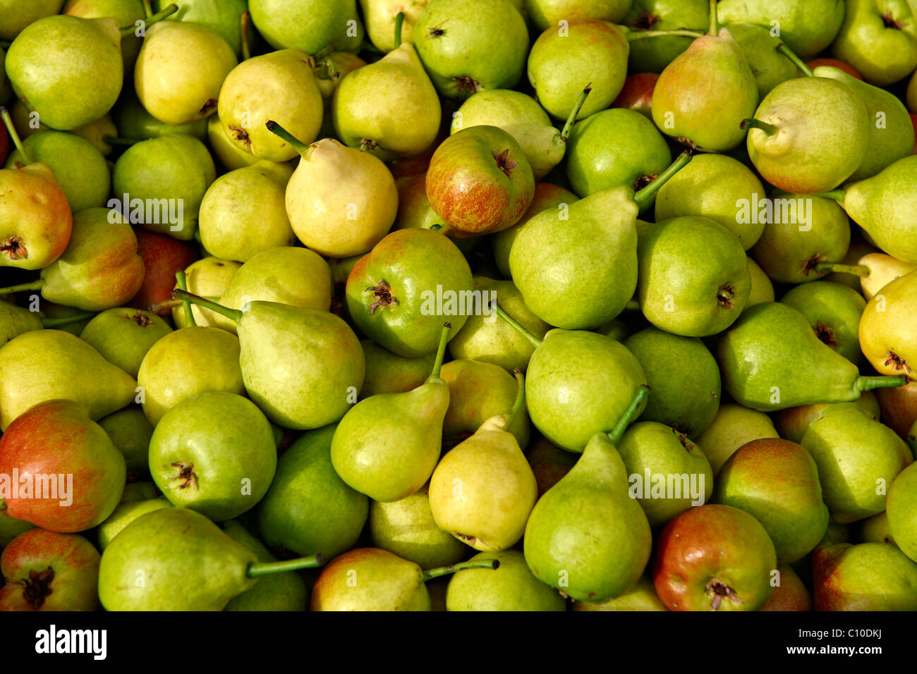 Pere e mele appena raccolte. Foto Stock