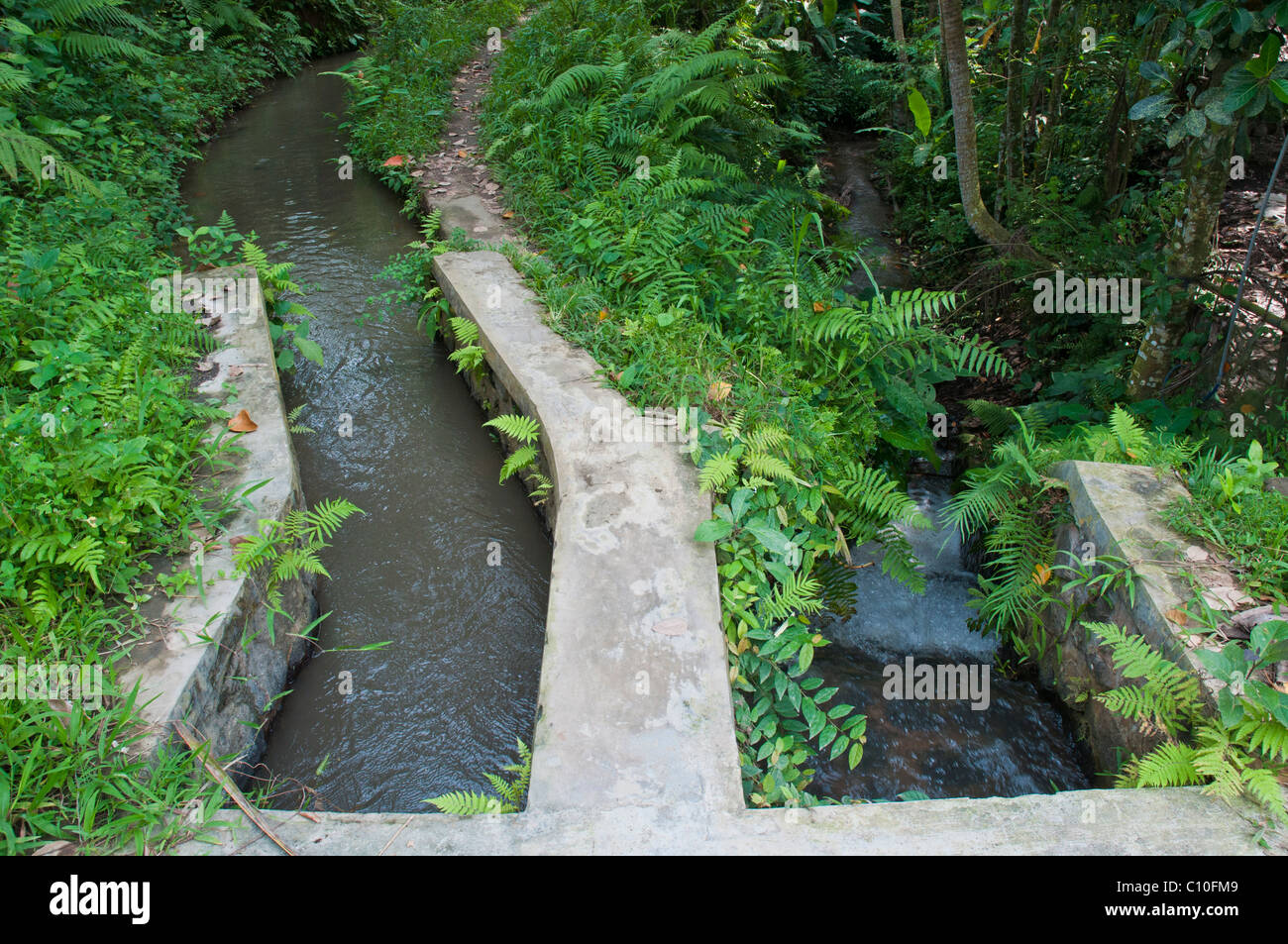 I canali di irrigazione acqua in movimento in corrispondenza di due diversi livelli per la coltivazione del riso a Bali Indonesia Foto Stock