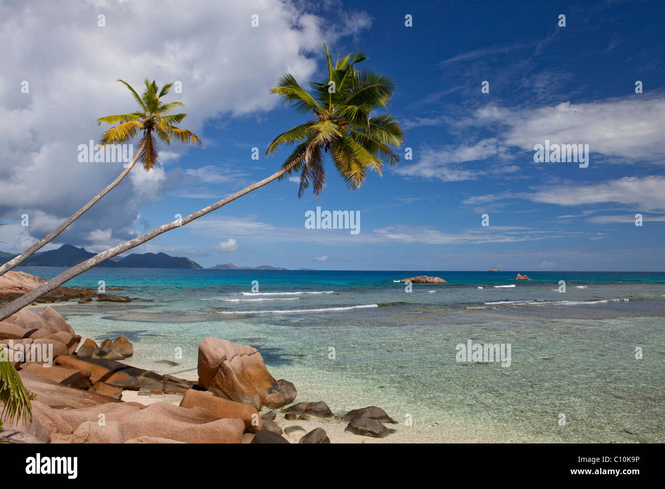 Palme da cocco (Cocos nucifera) e le rocce di granito su Anse severe, La Digue Island, Seychelles, Africa, Oceano Indiano Foto Stock