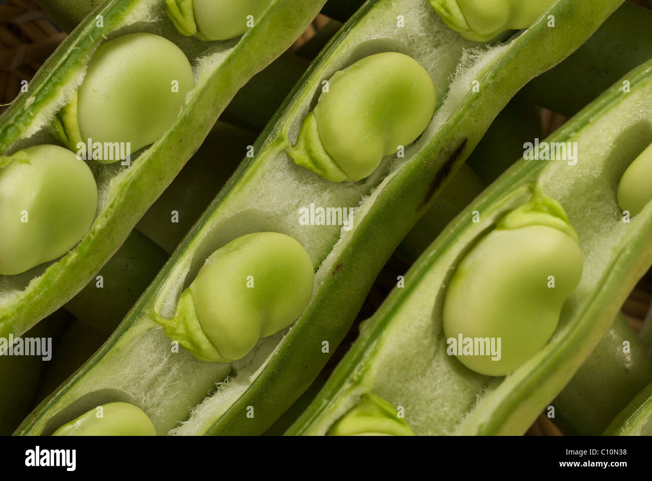 Fave (fava) LEGUMI Foto Stock