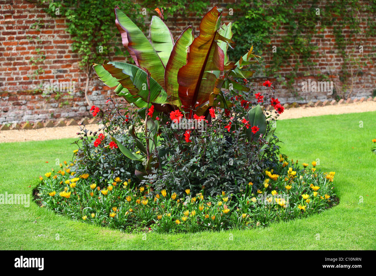 Giardino tropicale di piante in giardino inglese, compresi rosso abissino di Banana Foto Stock