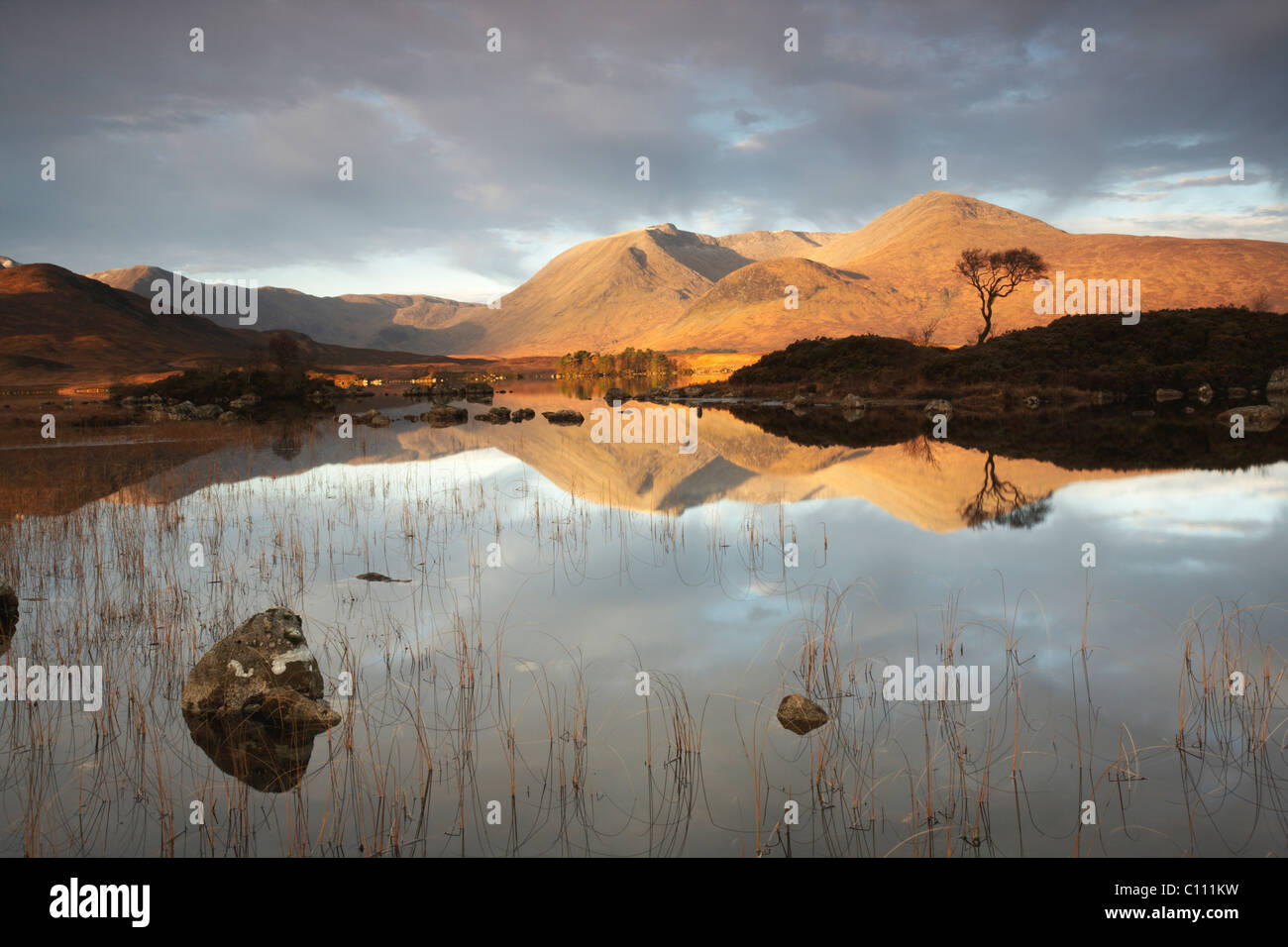 Rannoch Moor riflessioni Foto Stock