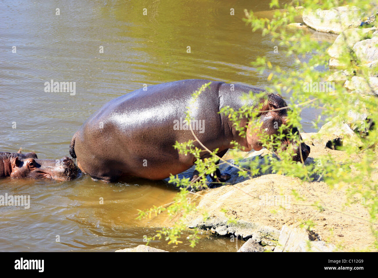 Wallonie, Brugelette, Belgique Foto Stock