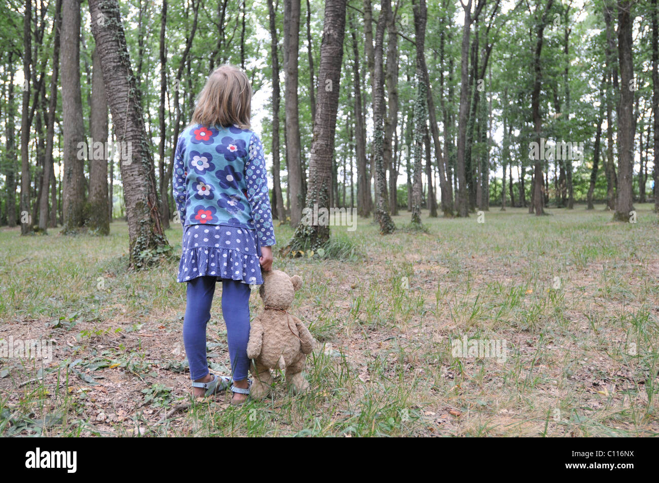 Un 8 anno-vecchia ragazza mentre tiene il suo teddy-bear guarda nel bosco Foto Stock