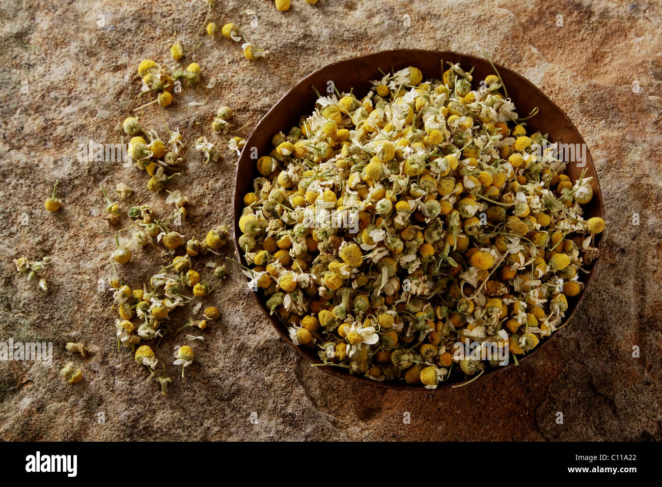 Tedesco (Camomilla Matricaria chamomilla), fiori in un vaso di rame su di una superficie di pietra Foto Stock
