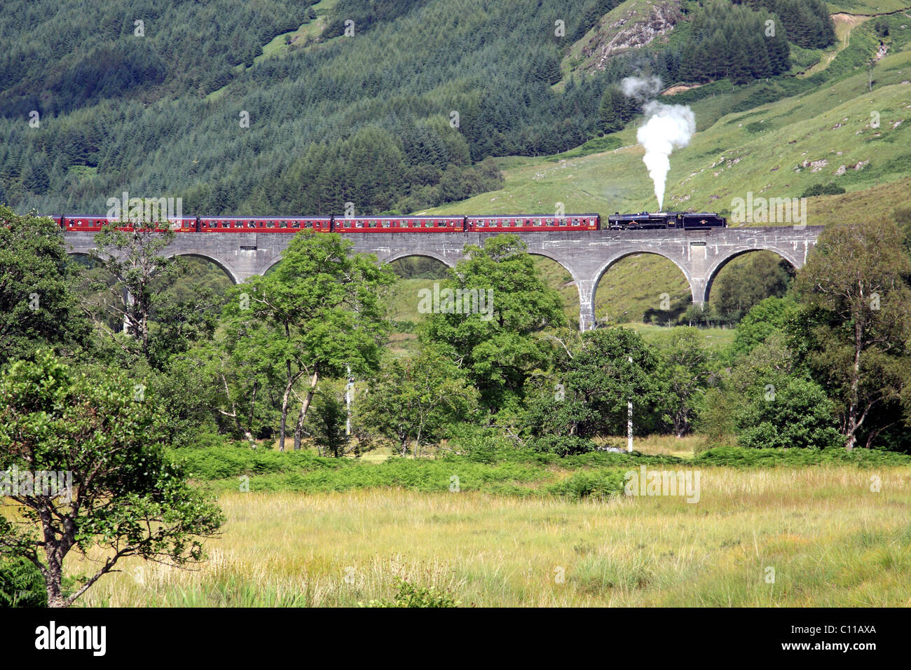 Ponte dal "Harry Potter' filmati con il giacobita treno storico, Glenfinnan, Scotland, Regno Unito, Europa Foto Stock