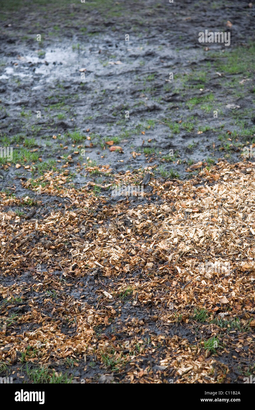 La posa di trucioli di legno sul terreno saturo Foto Stock