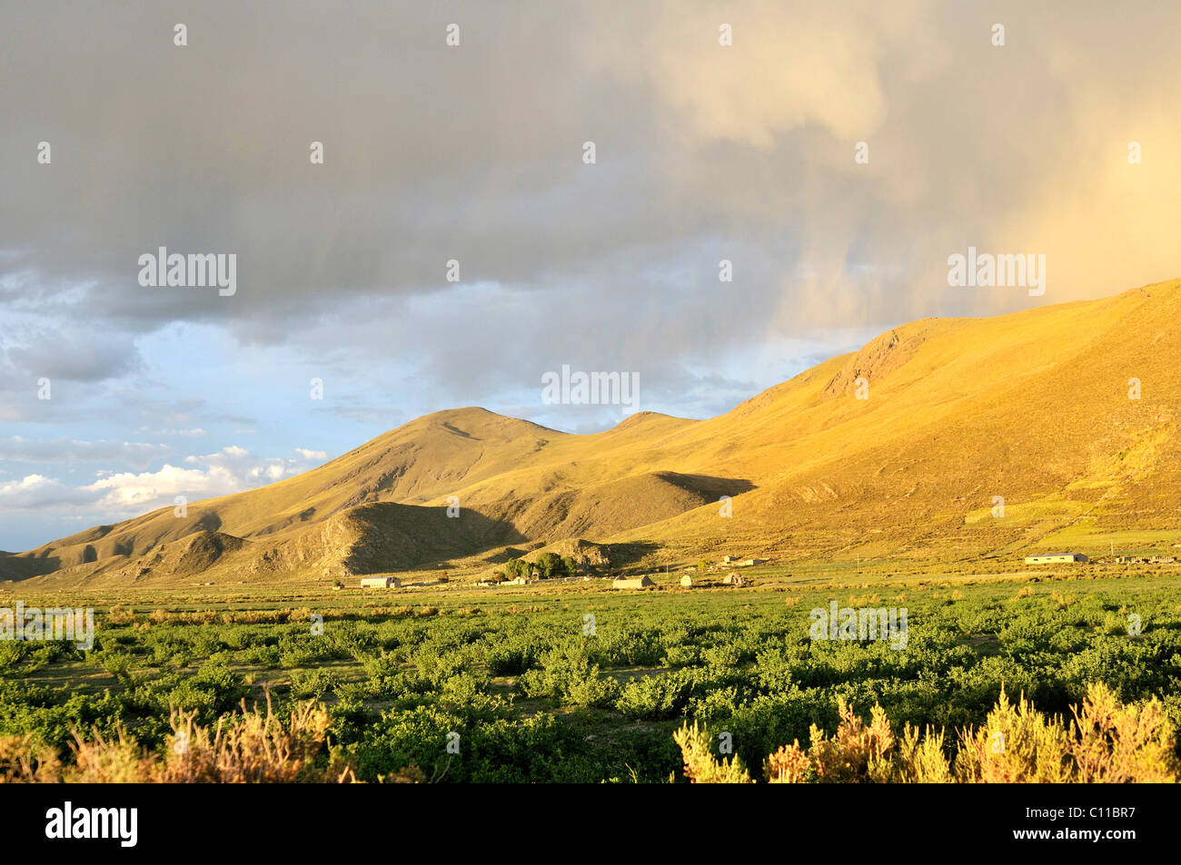 Paesaggio, meteo, atmosfera di luce prima della pioggia, Altipiano boliviano highlands, Departamento Oruro, Bolivia, Sud America Foto Stock
