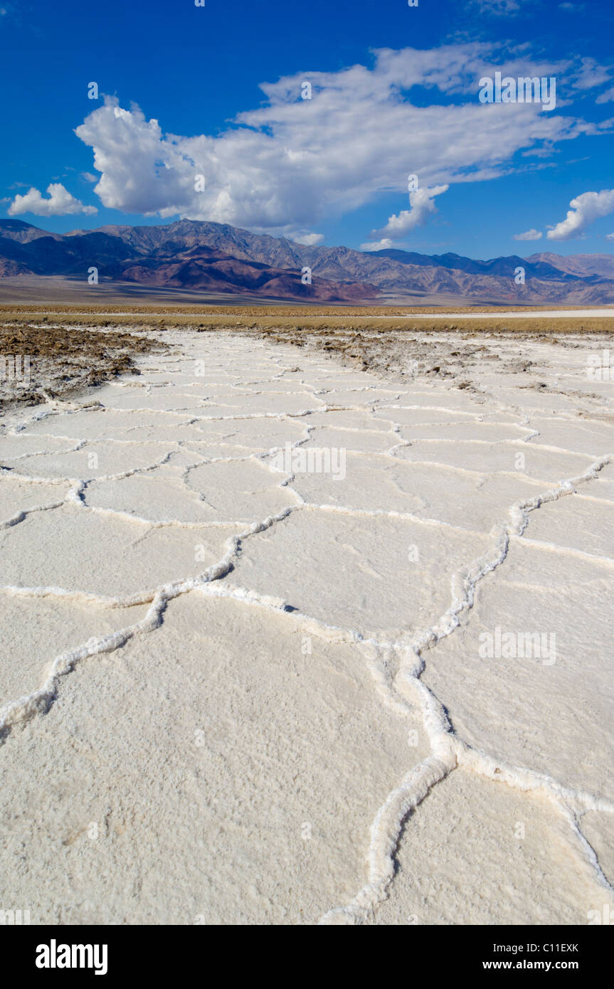 Salina poligoni Devil's Golf Course Badwater road Parco Nazionale della Valle della Morte, CALIFORNIA, STATI UNITI D'AMERICA Foto Stock