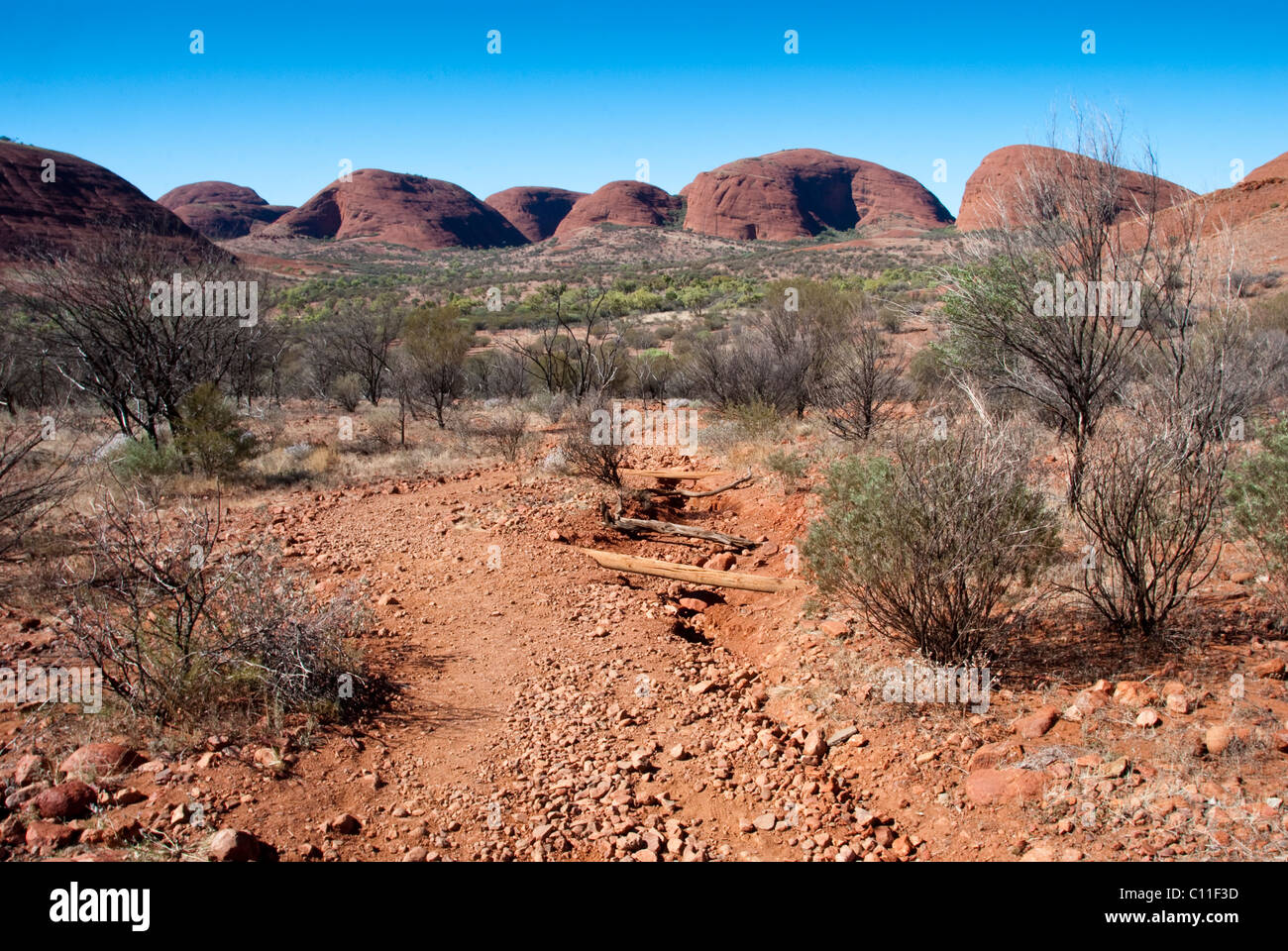 Outback australiano durante l inverno australe, 2009 Foto Stock