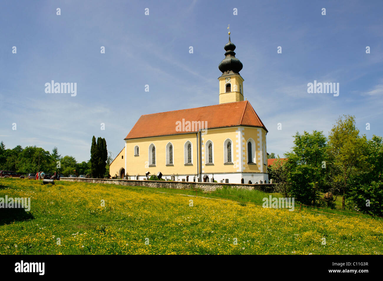 Chiesa Mariae Geburt, Frauenried vicino a Miesbach, Alta Baviera, Germania, Europa Foto Stock