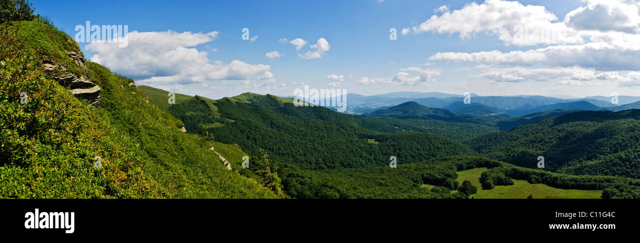 Verde dei monti Bieszczady Foto Stock