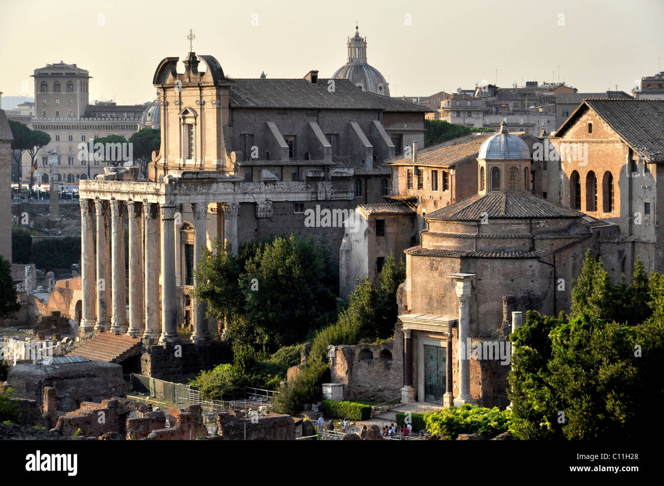 Tempio di Antonino e Faustina o la chiesa di San Lorenzo in Miranda, Tempio di Romolo o di Santi Cosma e Damiano, Forum Romanum Foto Stock