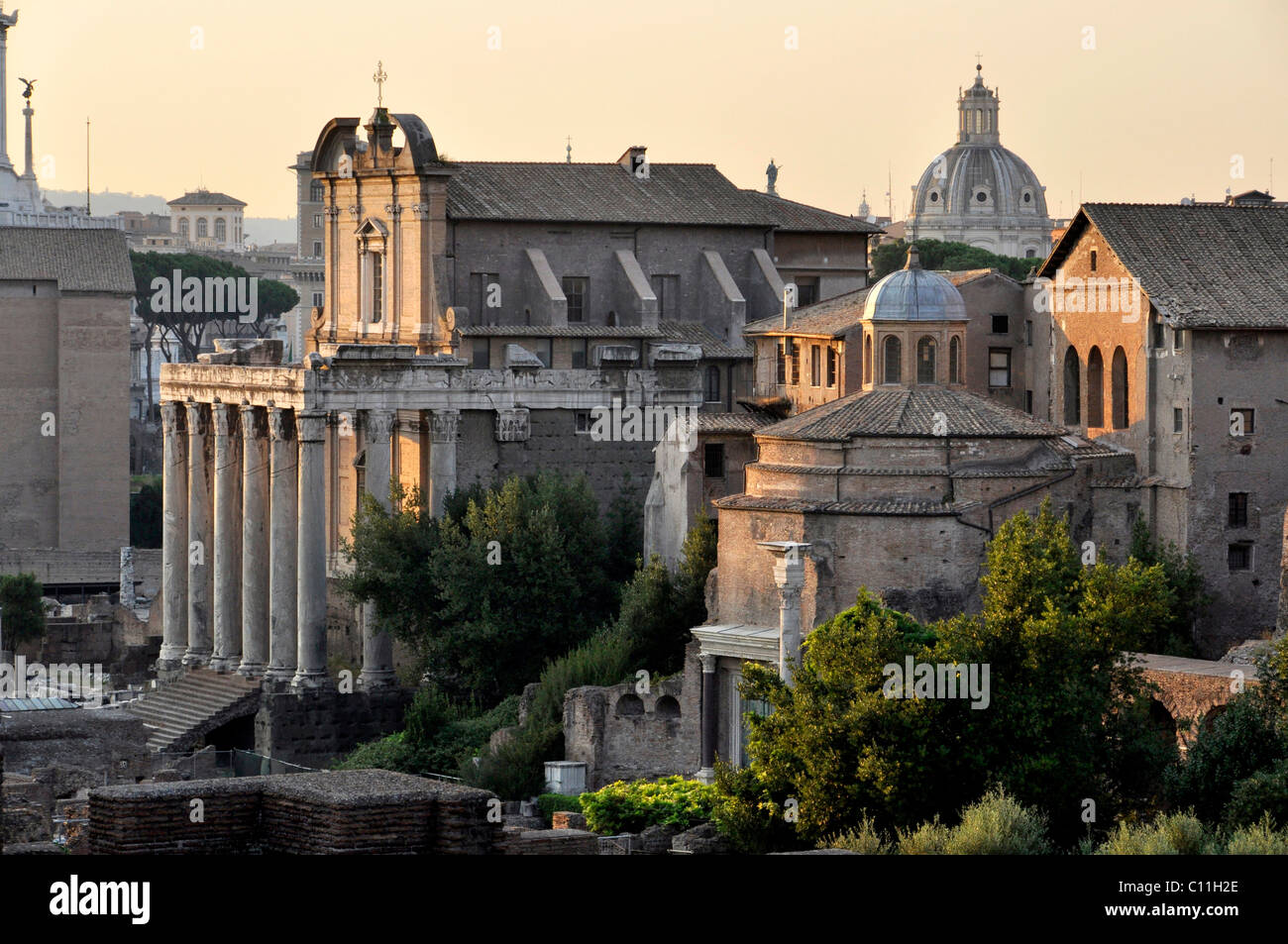 Tempio di Antonino e Faustina o la chiesa di San Lorenzo in Miranda, Tempio di Romolo o di Santi Cosma e Damiano, Forum Romanum Foto Stock