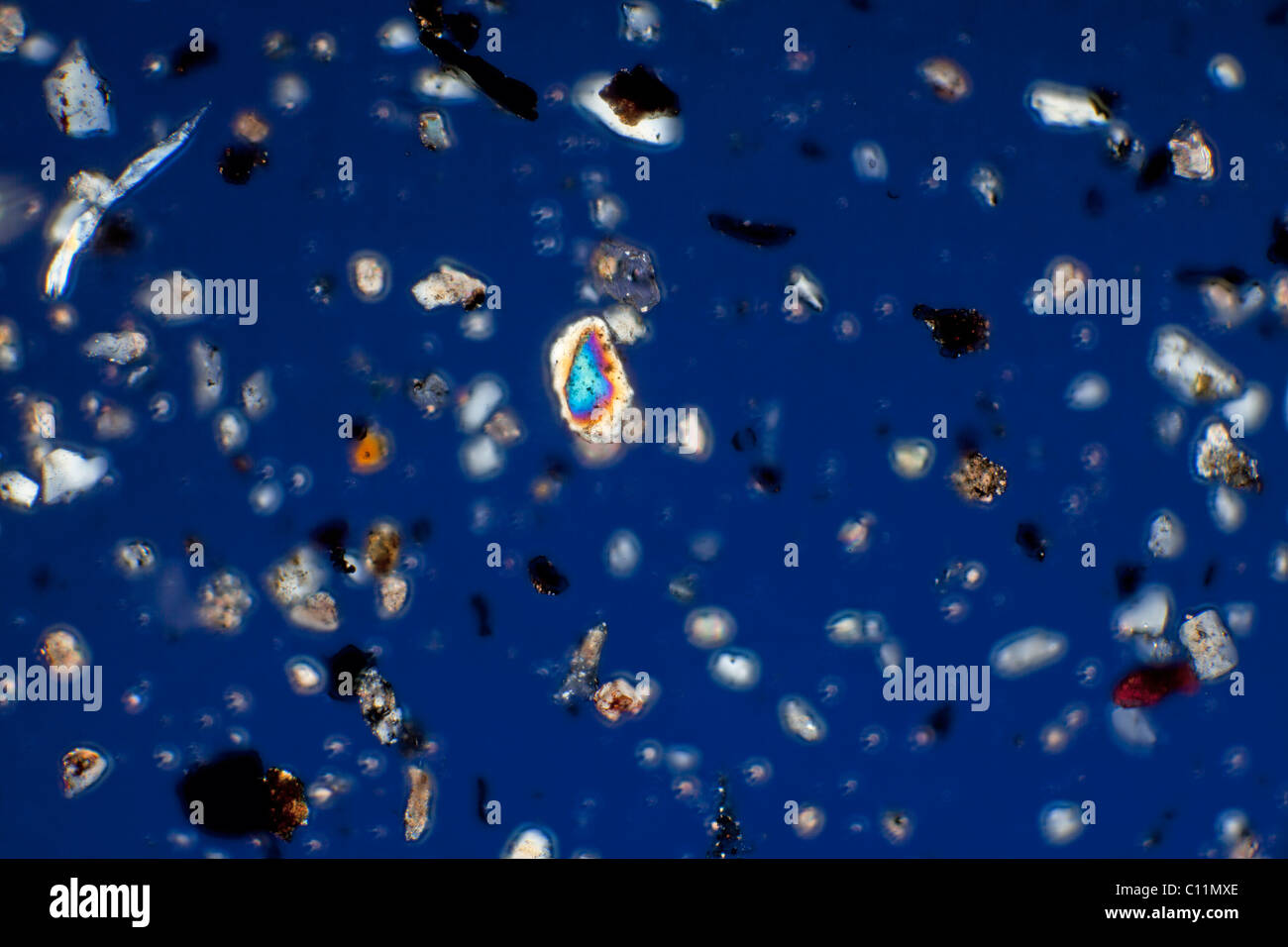 Islanda ceneri vulcaniche Eyjafallajokull, croce fotomicrografia polarizzati Foto Stock
