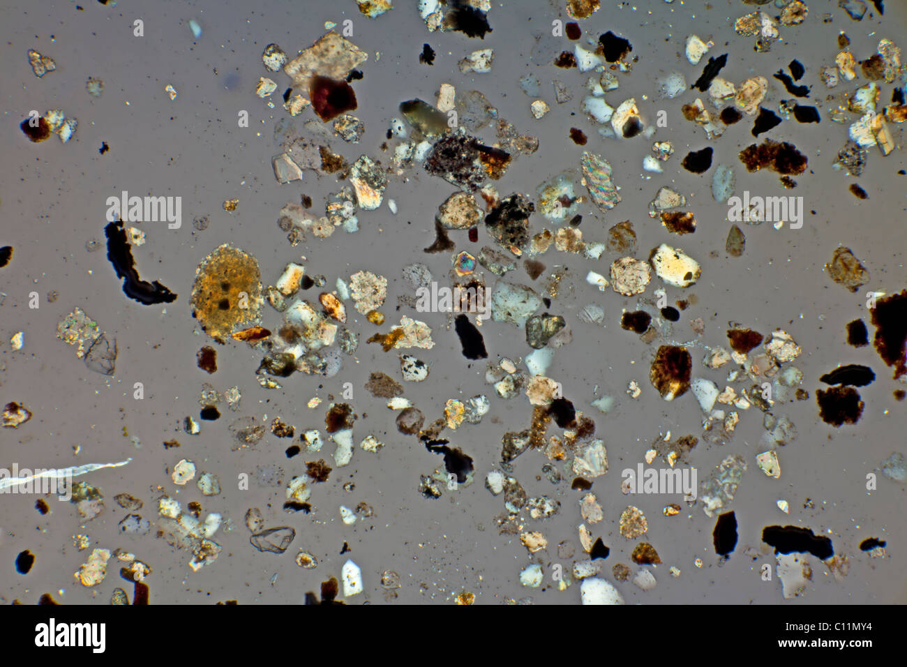 Islanda ceneri vulcaniche Eyjafallajokull, croce fotomicrografia polarizzati Foto Stock