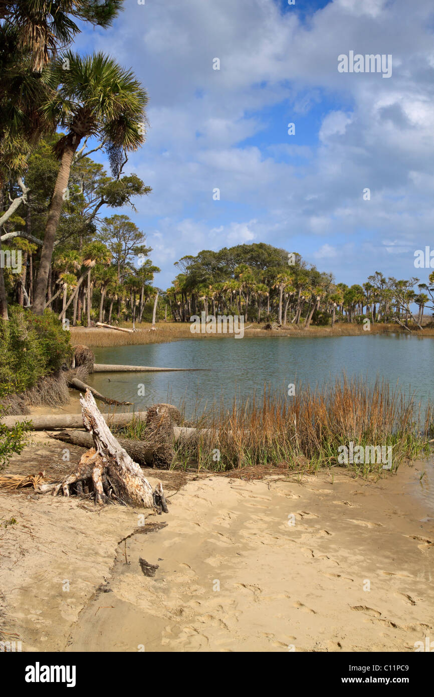 Laguna di acqua salata a caccia Island State Park, Carolina del Sud Foto Stock