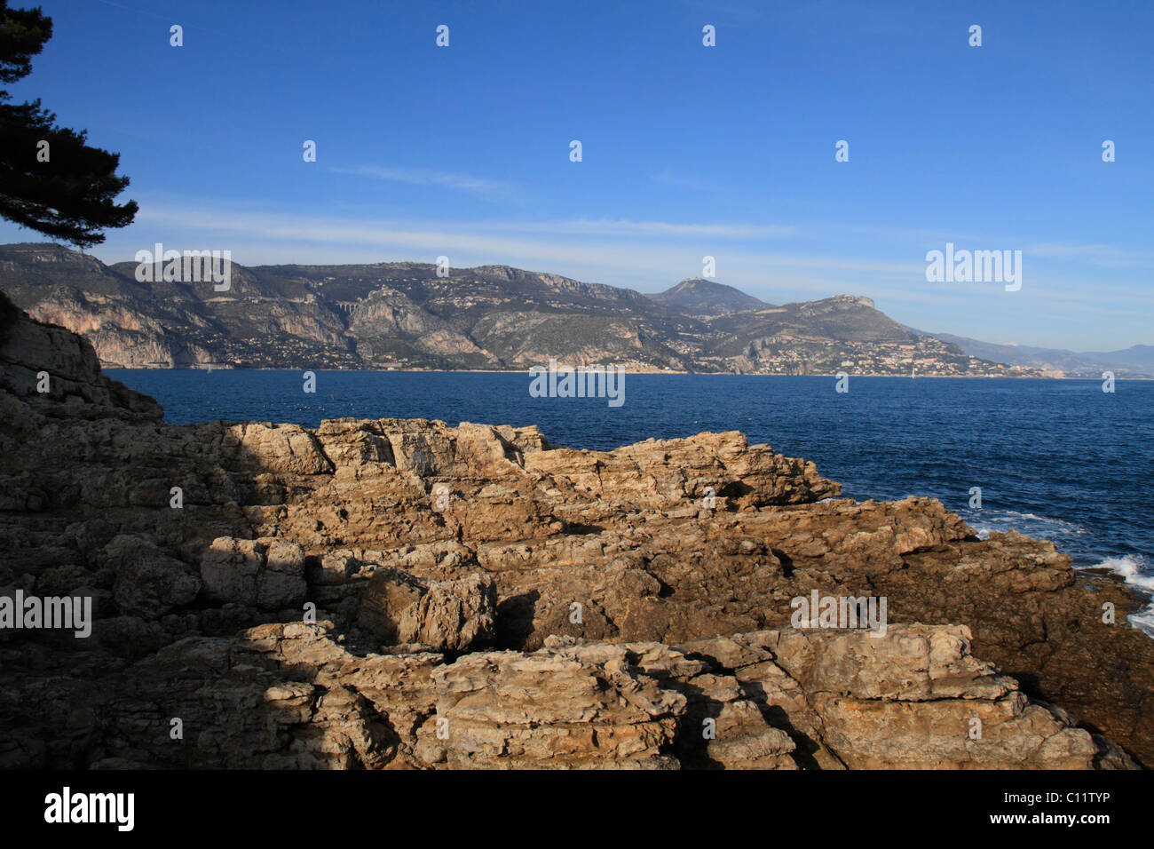 Vista della costa tra Eze e Monaco dal promontorio di San ospizio, Saint Jean Cap Ferrat, dipartimento delle Alpi marittime, Foto Stock